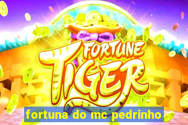 fortuna do mc pedrinho